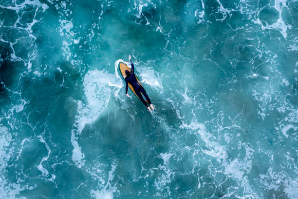 leer el mar