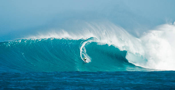 surfista avanzado en ola gigante 