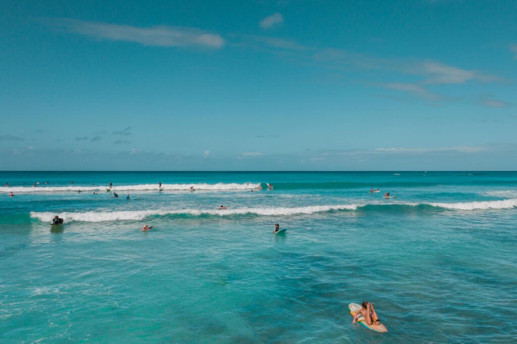 surf