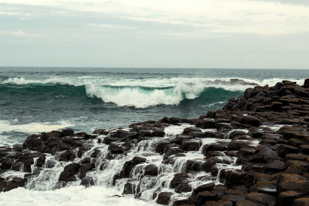 leer el mar