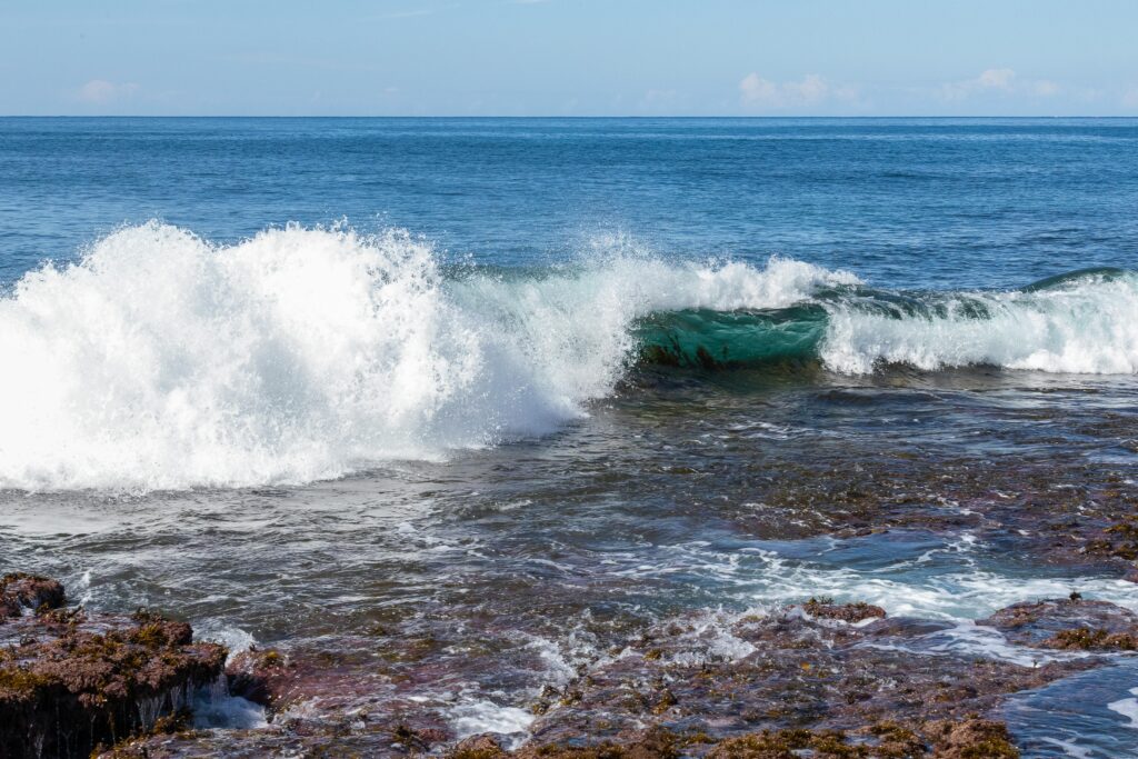 OLAS