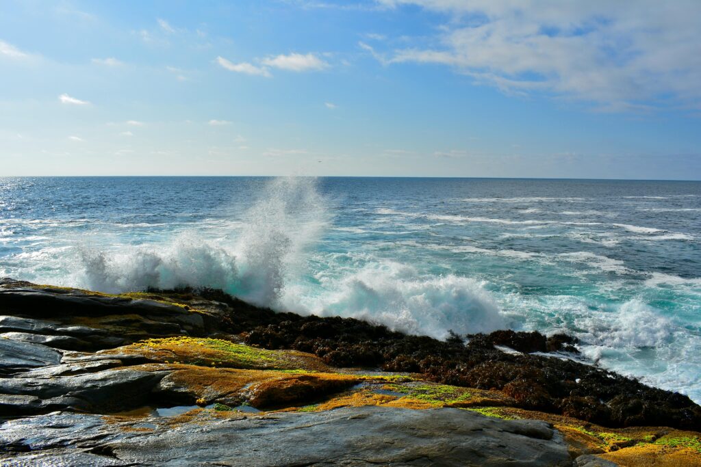 OLAS