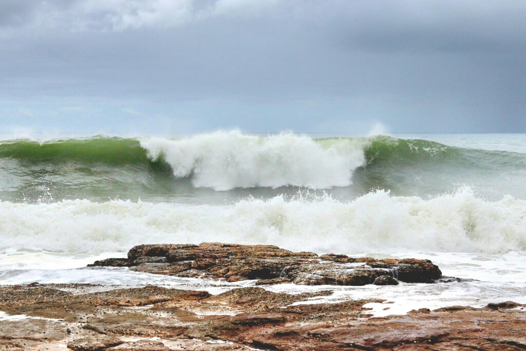 OLAS