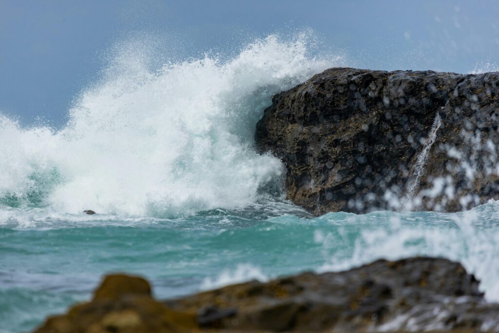 OLAS