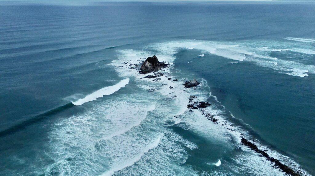 OLAS