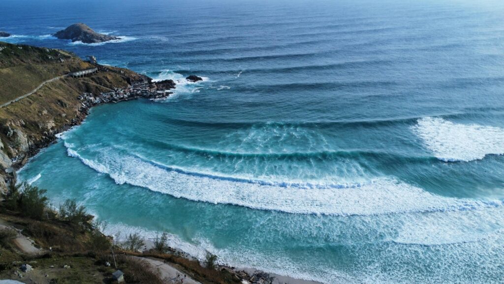 OLAS