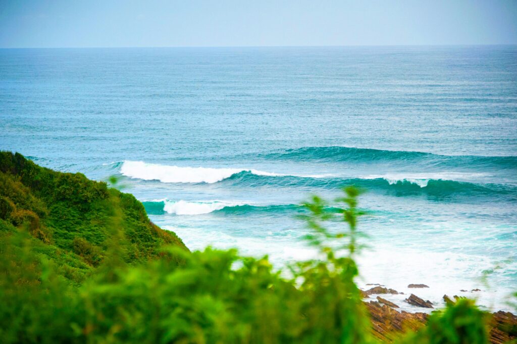 OLAS