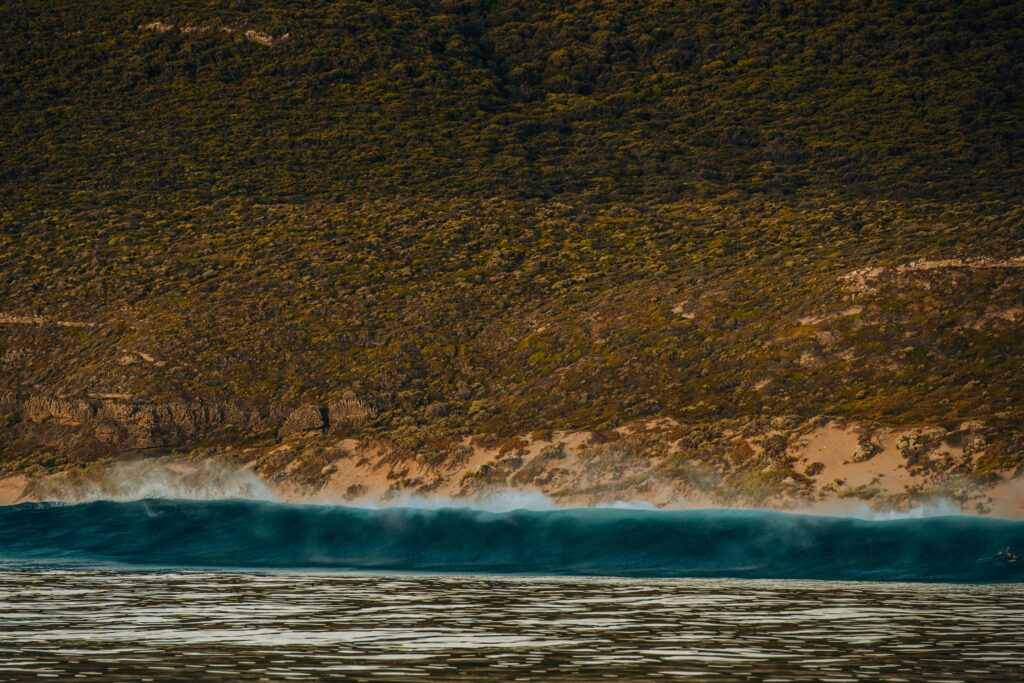 OLAS