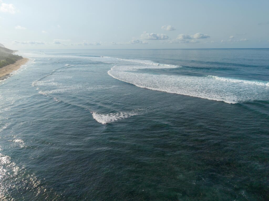 OLAS