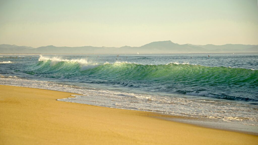 OLAS