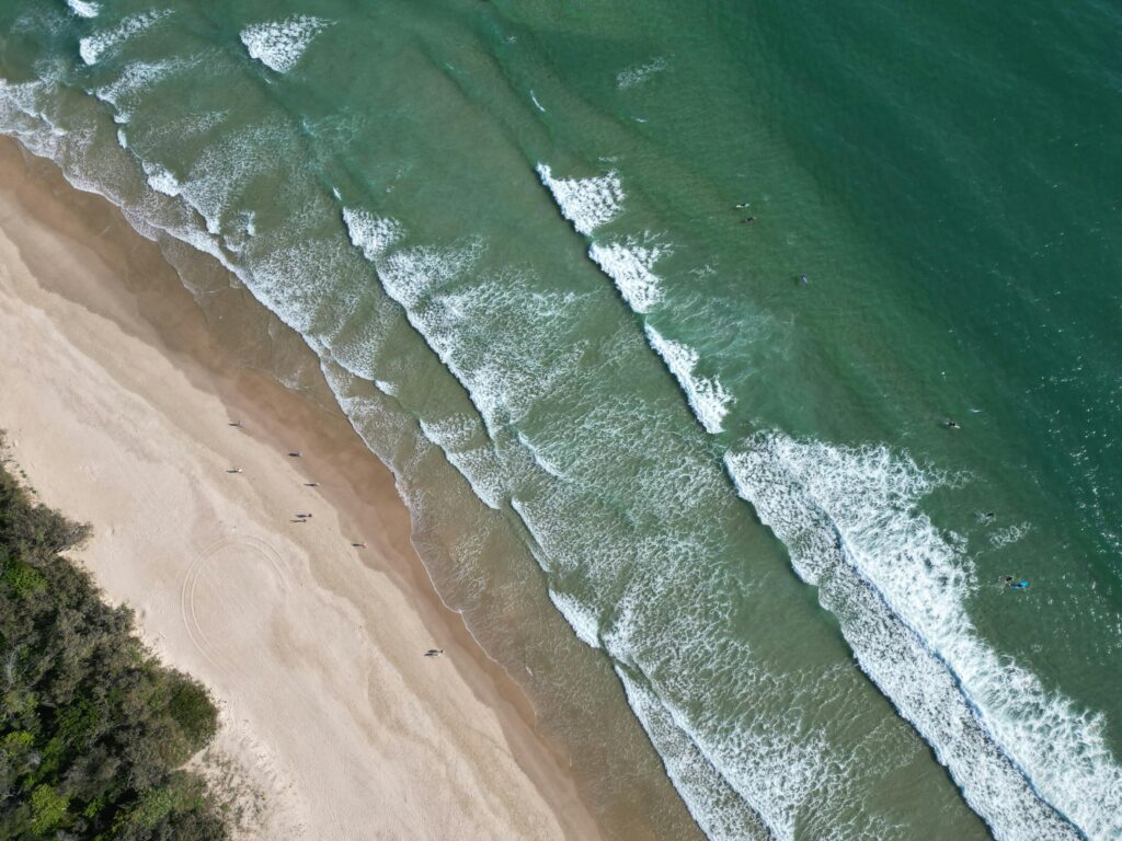 OLAS