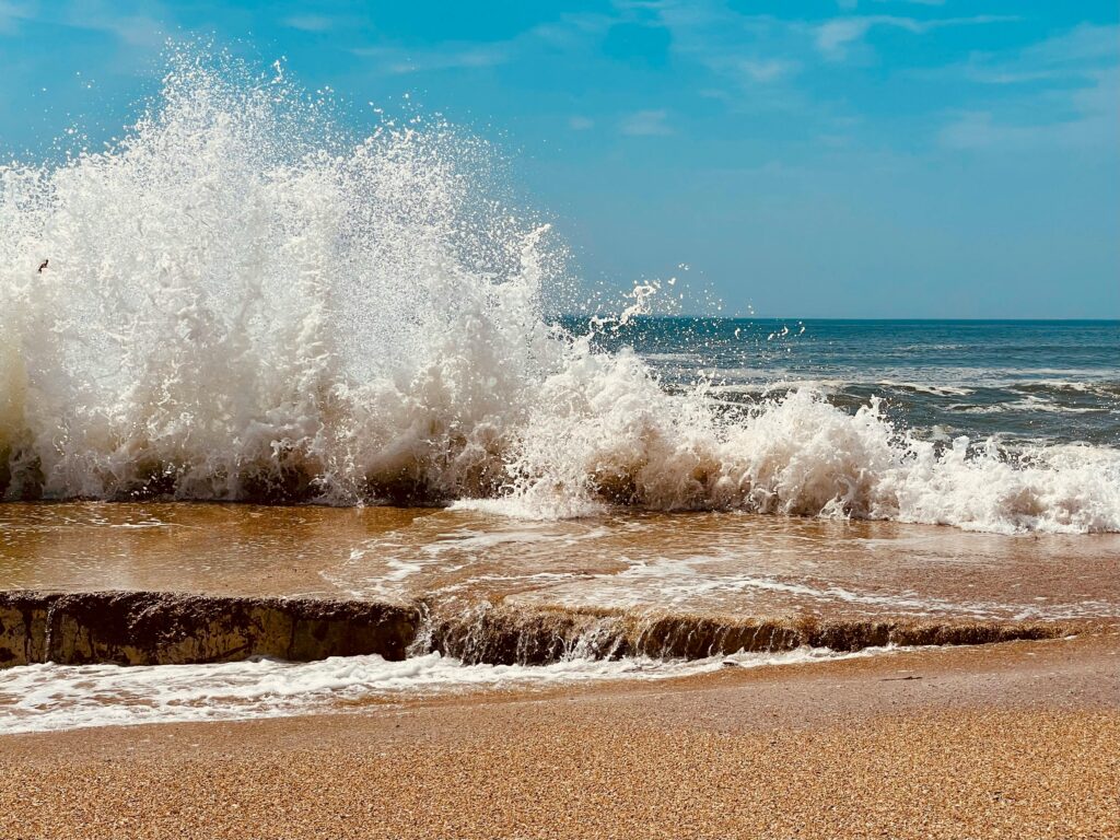 OLAS