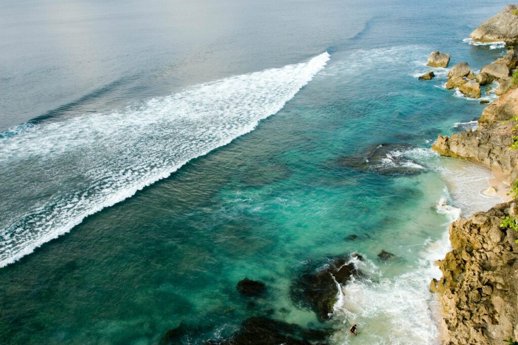 OLAS