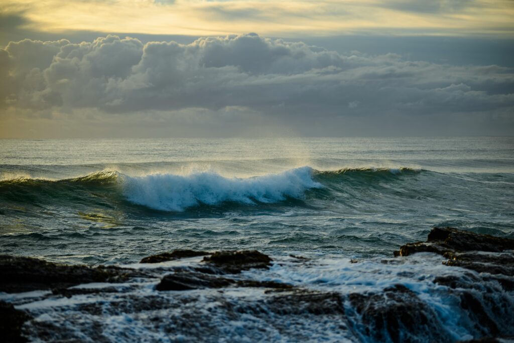 OLAS
