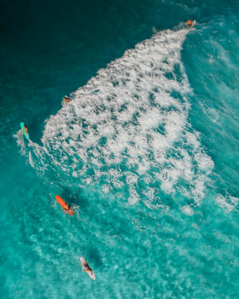 surf