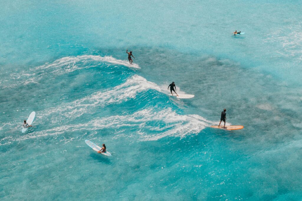 surf