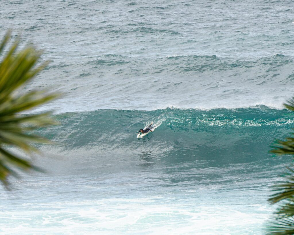 surf