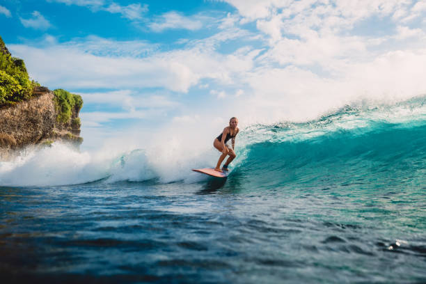 surf