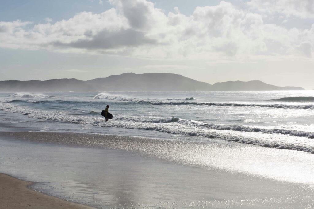 surf