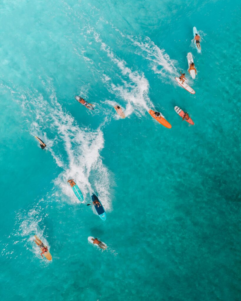 surf