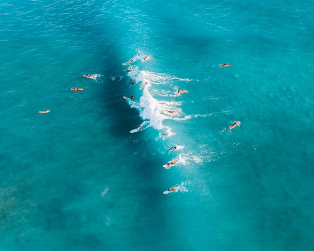 surf